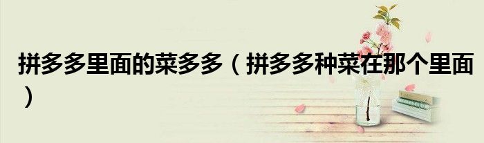 拼多多里面的菜多多（拼多多种菜在那个里面）