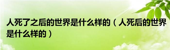 人死了之后的世界是什么样的（人死后的世界是什么样的）