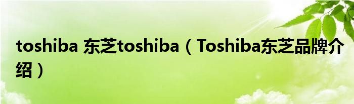 toshiba 东芝toshiba（Toshiba东芝品牌介绍）