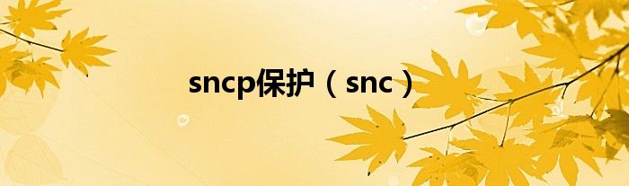 sncp保护（snc）