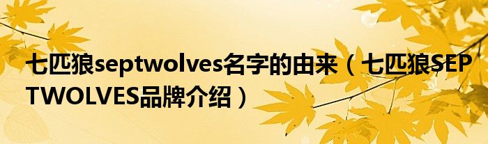 七匹狼septwolves名字的由来（七匹狼SEPTWOLVES品牌介绍）
