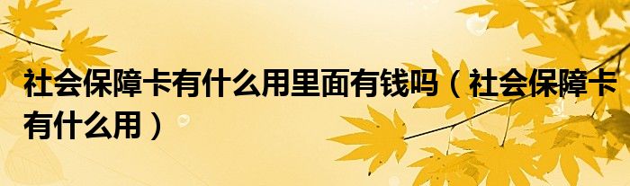 社会保障卡有什么用里面有钱吗（社会保障卡有什么用）