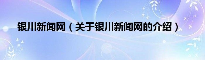 银川新闻网（关于银川新闻网的介绍）