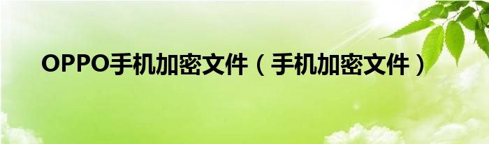 OPPO手机加密文件（手机加密文件）