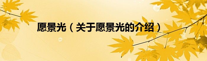 愿景光（关于愿景光的介绍）