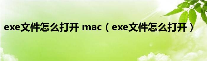 exe文件怎么打开 mac（exe文件怎么打开）