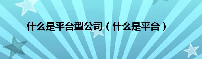 什么是平台型公司（什么是平台）